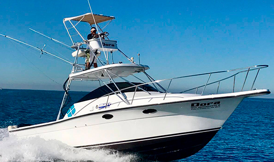 Dora 28′ Speed Fishing Boat - Riviera Expeditions